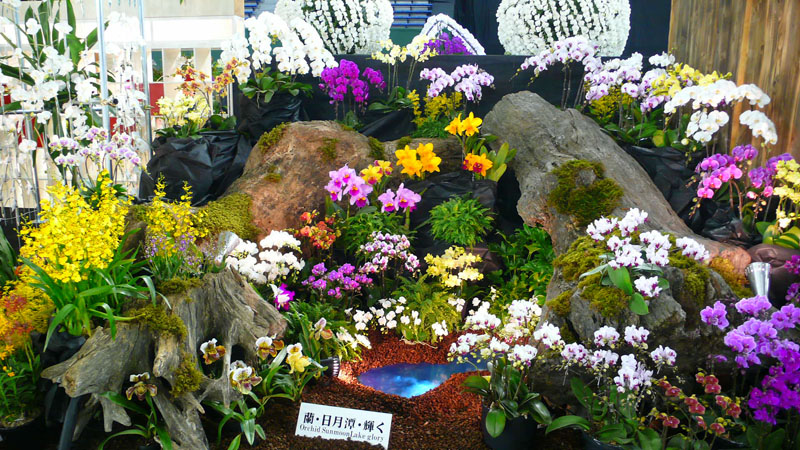 P1080434.jpg