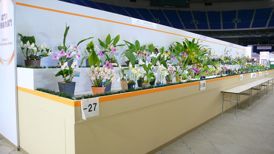P1080436.jpg