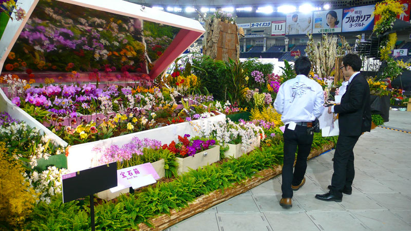 P1080445.jpg