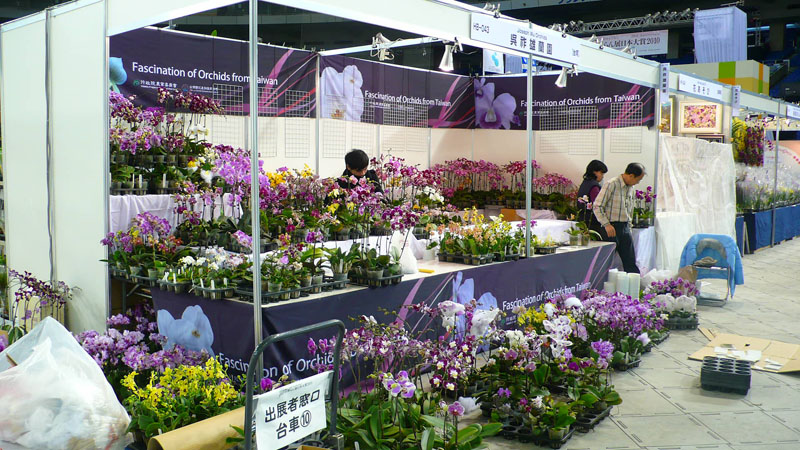 P1080466.jpg