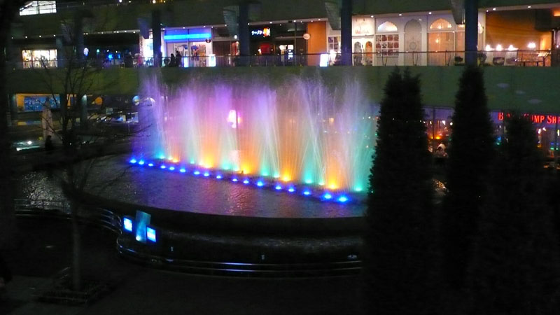 P1090300.jpg