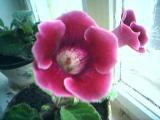 23_05_06_1659_201.jpg