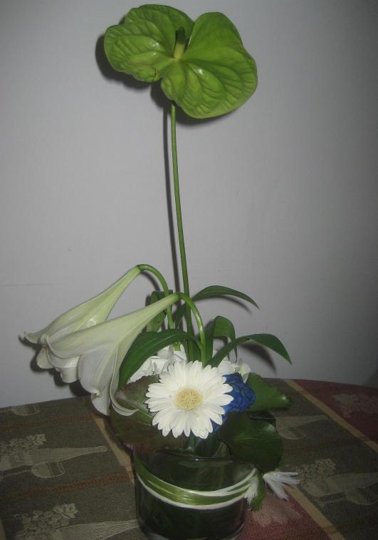 IMG_0600.JPG