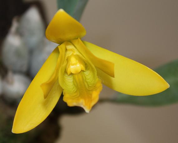 А запах, это чтото!!!