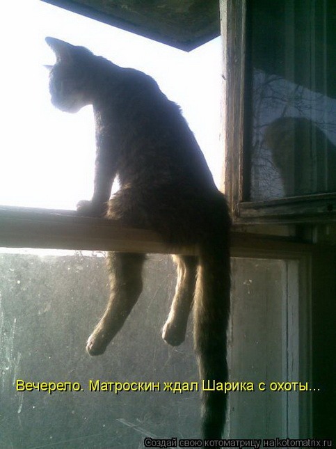 0_1cfbd_31c4745_XL.jpg