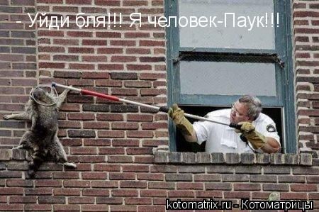 img_3434028_2_23.jpg