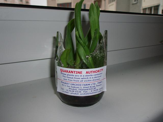 P9020248w.JPG