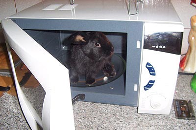 kr2.jpg