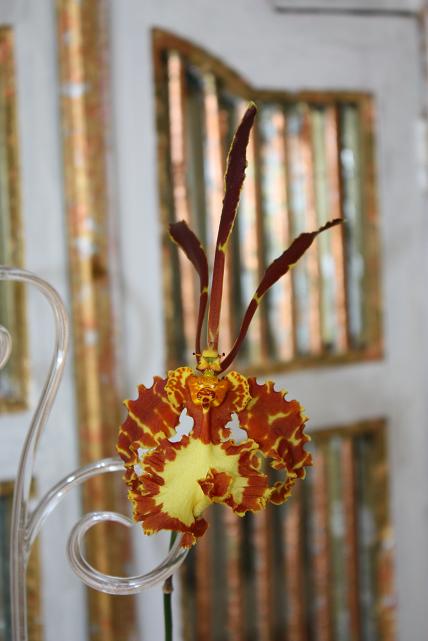 орхи едут в отпуск 2.jpg