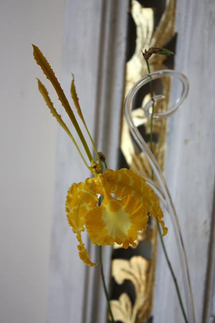 орхи едут в отпуск 1.jpg