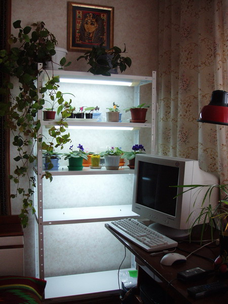P9130010_001.jpg