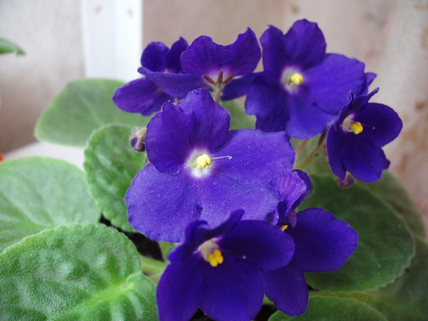 P9130003_001.jpg