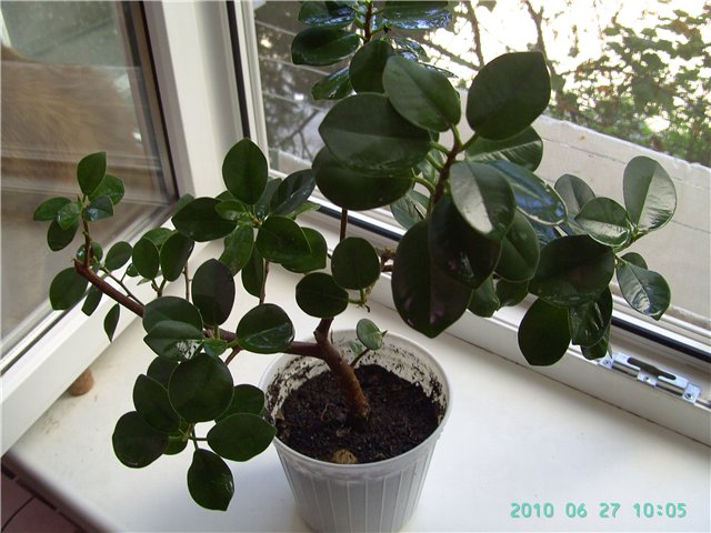0779f26072f8.jpg
