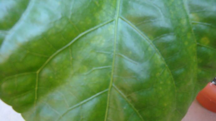 DSC01587.JPG