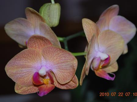 Изображение 964.jpg