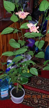 Изображение 969.jpg