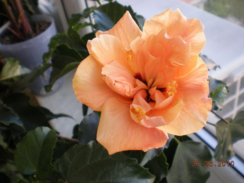 вот это да 007.jpg