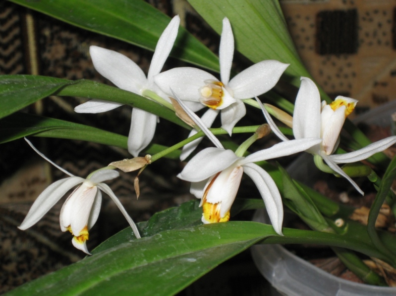 Изображение 377 сж.jpg