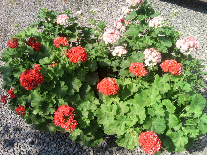 SP_A6878.jpg