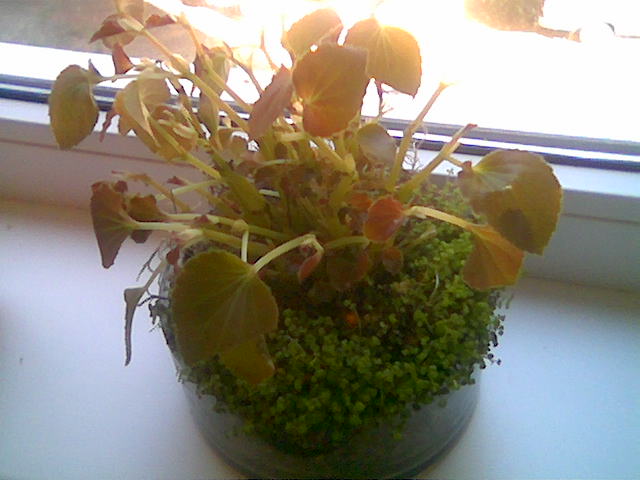 Image001.jpg