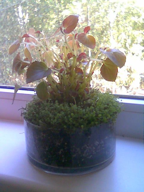 Image000.jpg