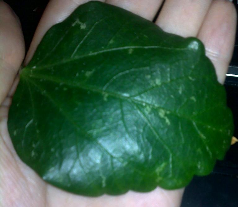 23082010303.jpg