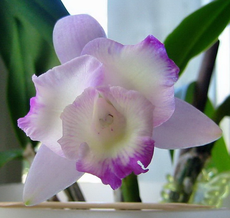 Копия (2) 2010.09.034 -3.jpg