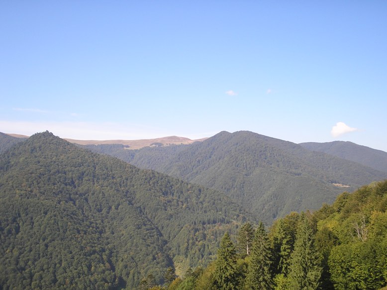 P9150216_-.JPG