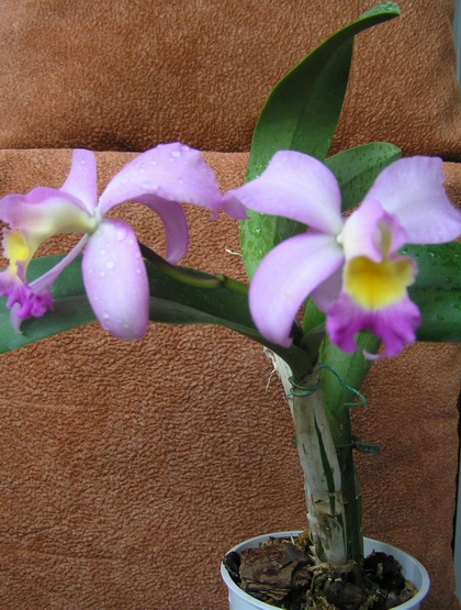 PB070049.JPG