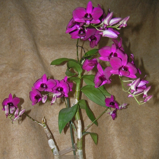 PB180006.JPG
