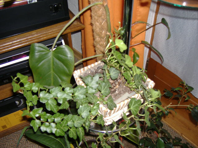 DSCF1442.JPG