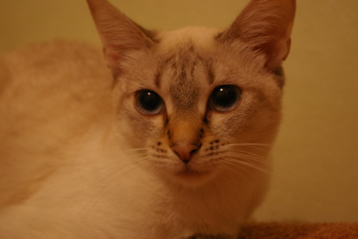 IMGP0292.JPG