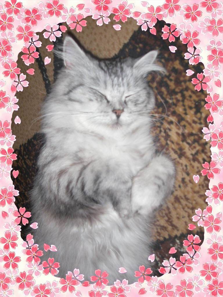 _IMGP7181.jpg