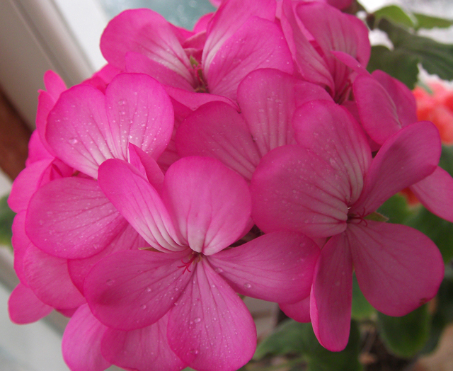 DSCF0714_.jpg