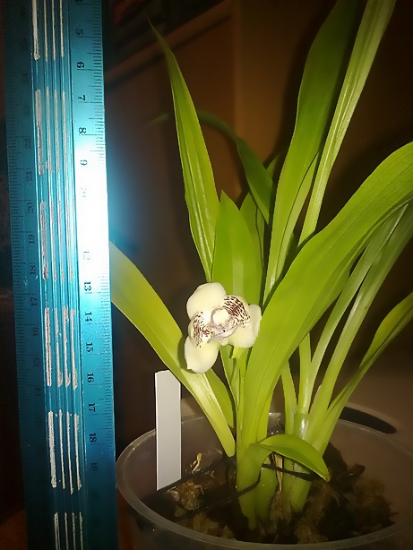 01022011175.jpg