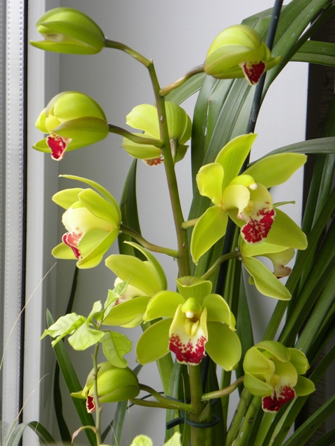 DSCN6274.jpg