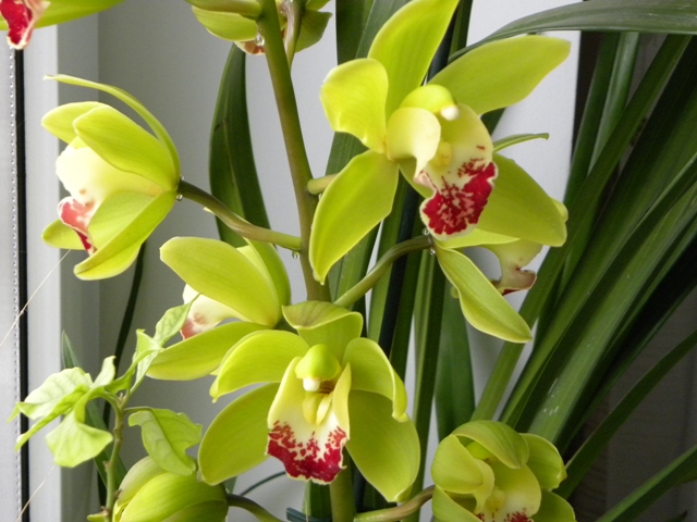 DSCN6277.jpg