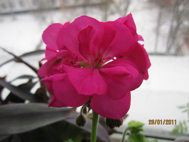 img 122_.jpg