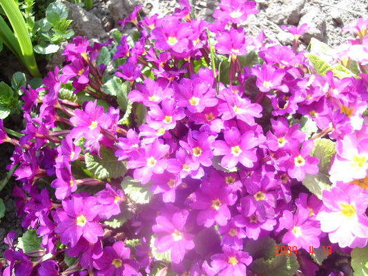 DSC05601.JPG