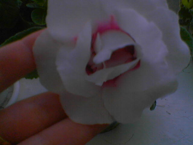 061002_093804.jpg