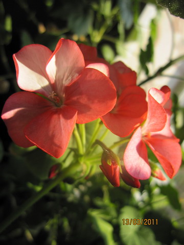 img 052_.jpg