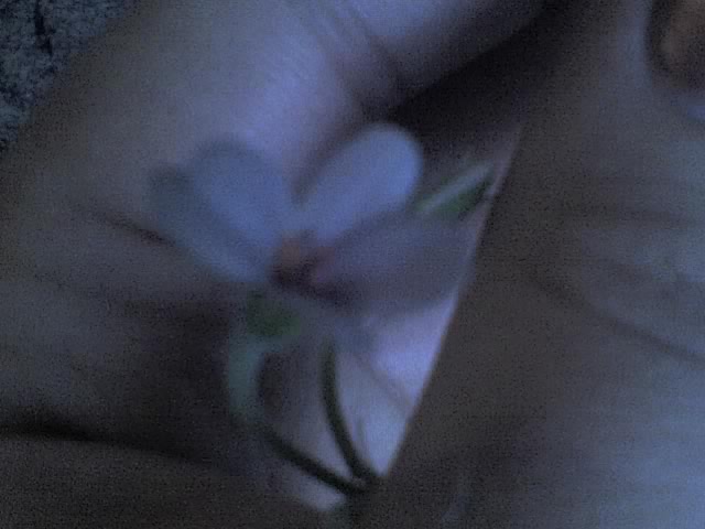03-10-06_0924.jpg