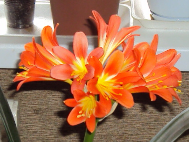 DSC02328.JPG