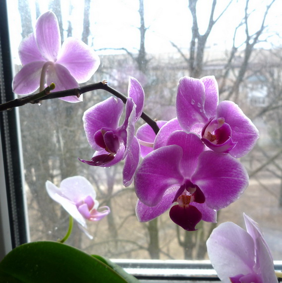 P1010183-1.jpg