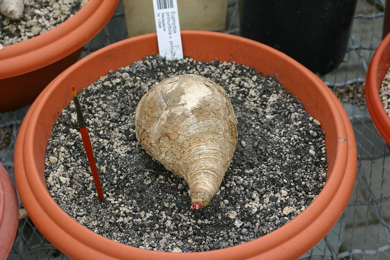 CRW_1678_RJs.JPG
