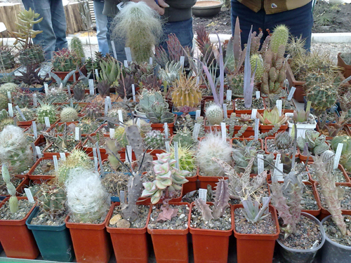 15042011145.jpg