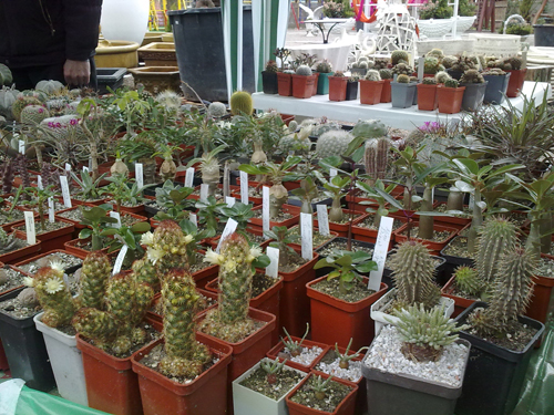 15042011147.jpg