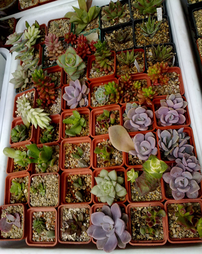 15042011139.jpg