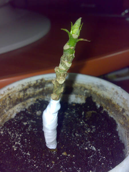 250420113705.jpg