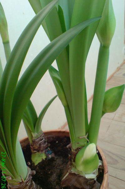 DSC00372.JPG